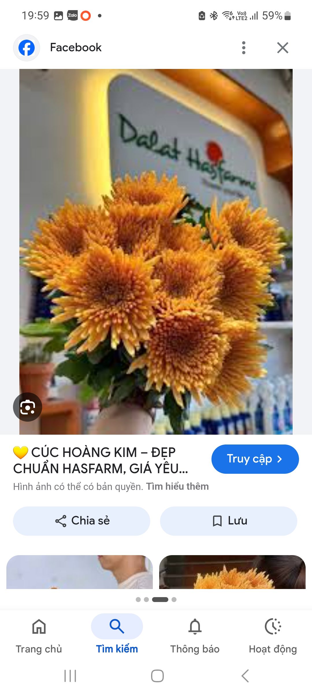 Hoàng kim