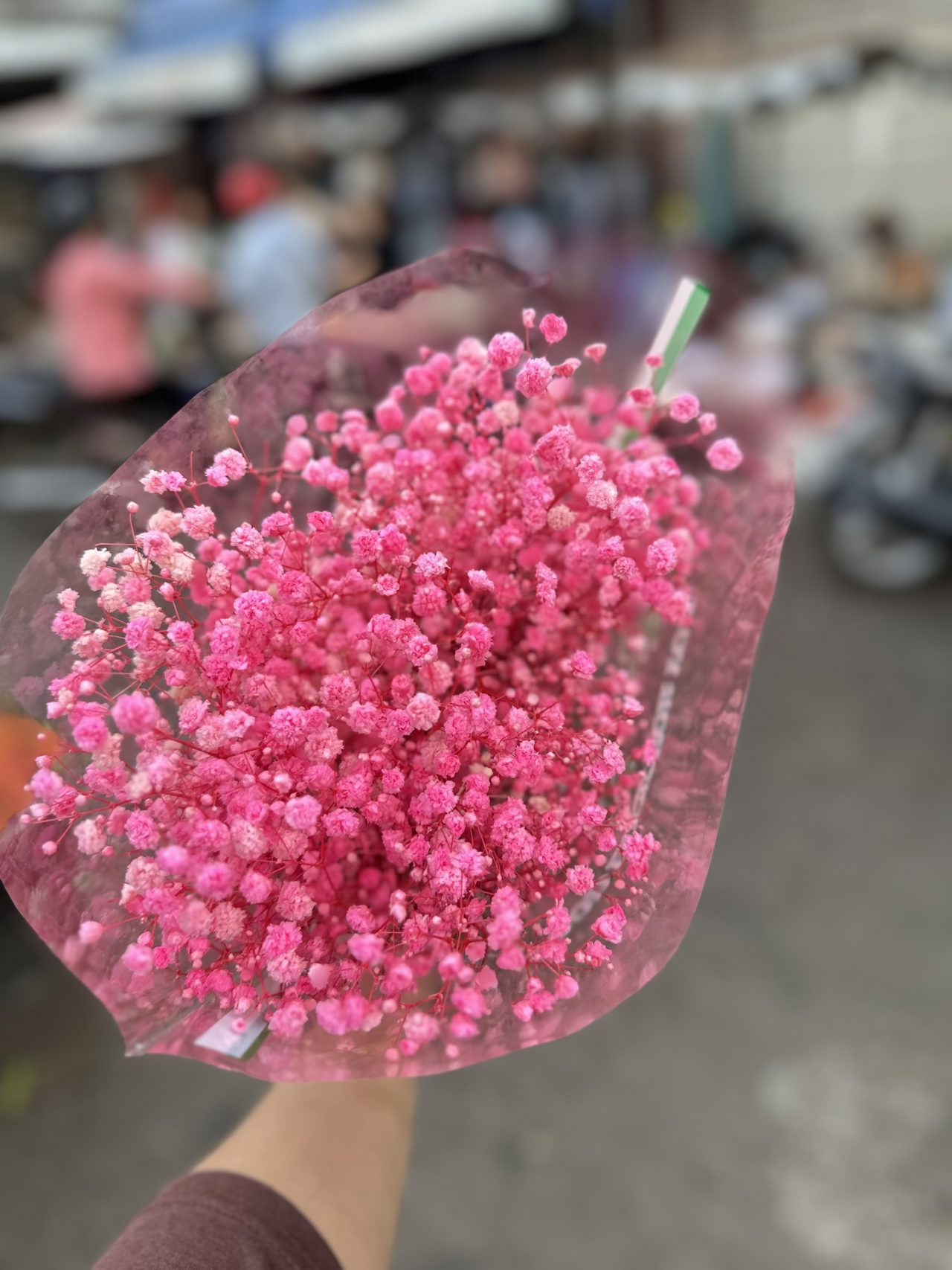 Baby's Breath Hồng 