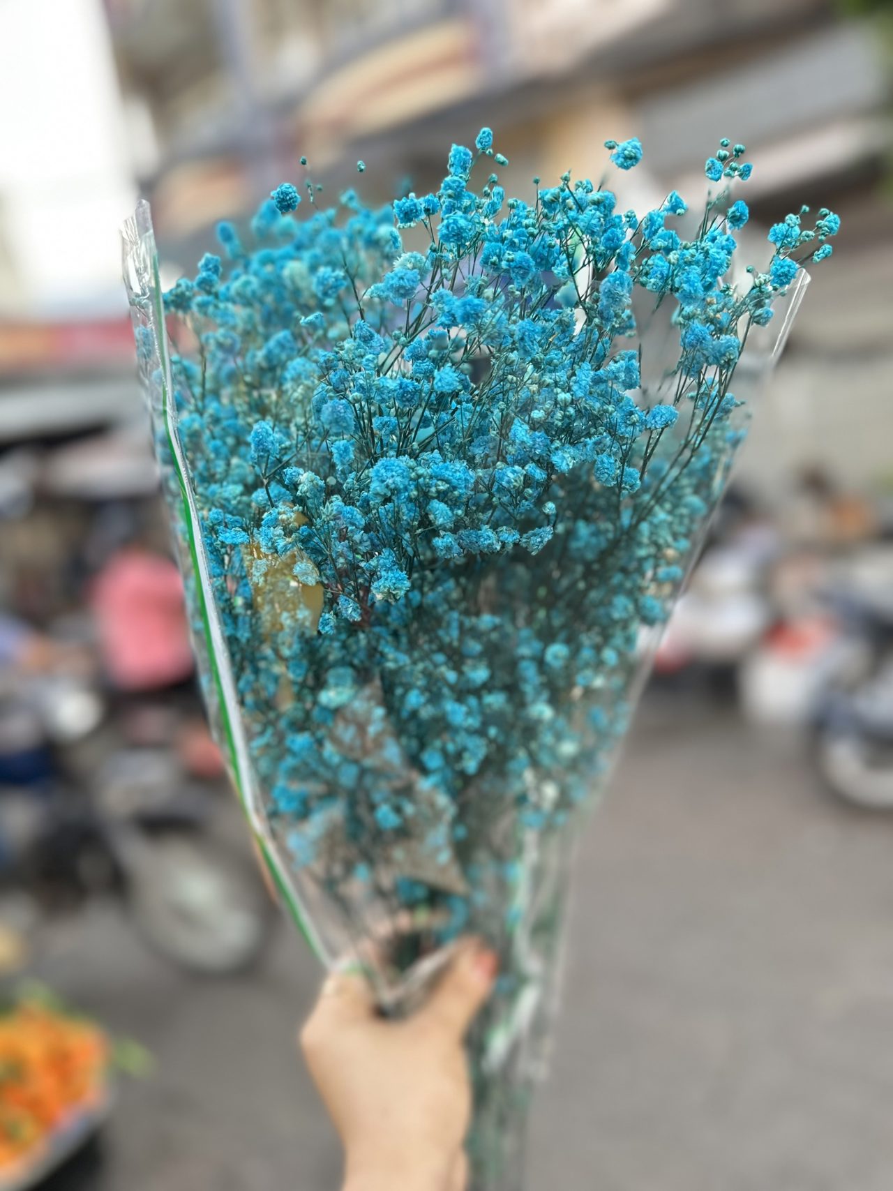 Baby's Breath Xanh