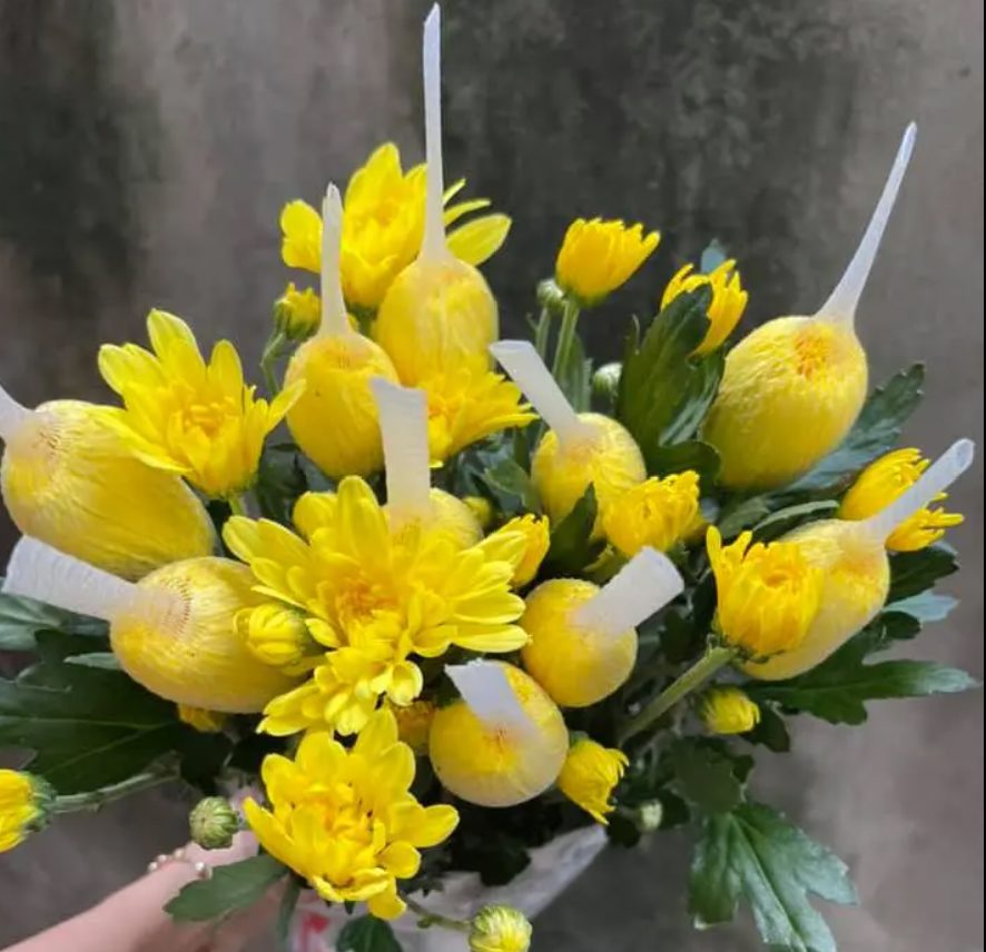 Cúc Lưới Mềm