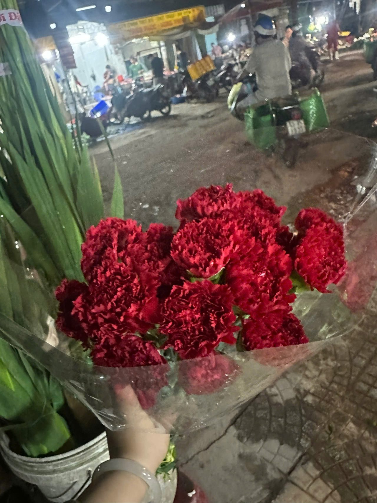 Cẩm trung