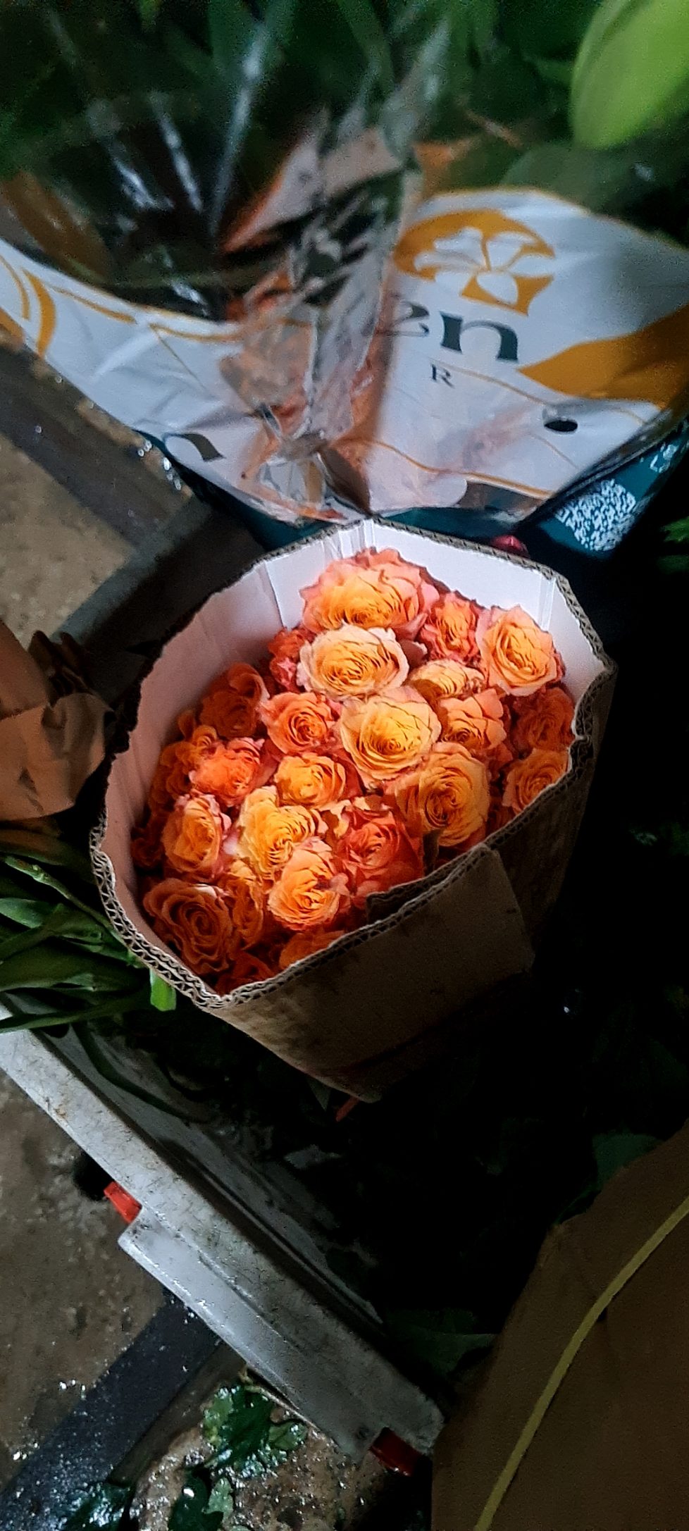 Hồng cam
